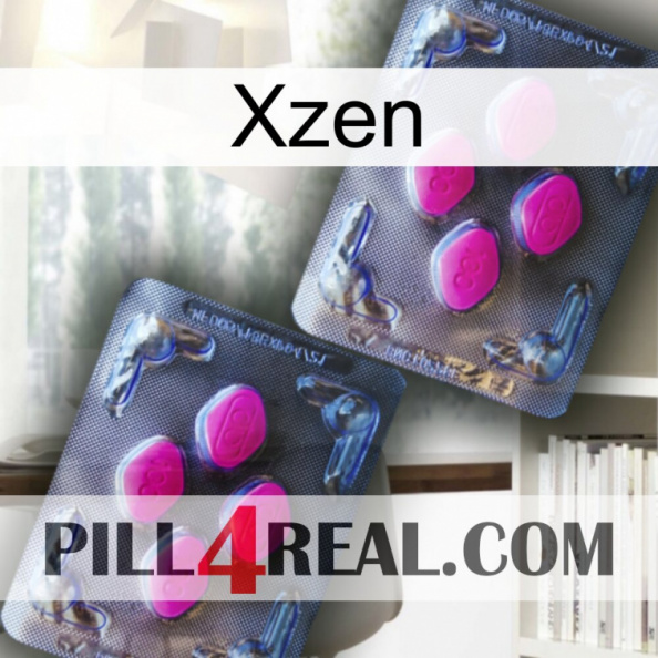 Xzen 01.jpg